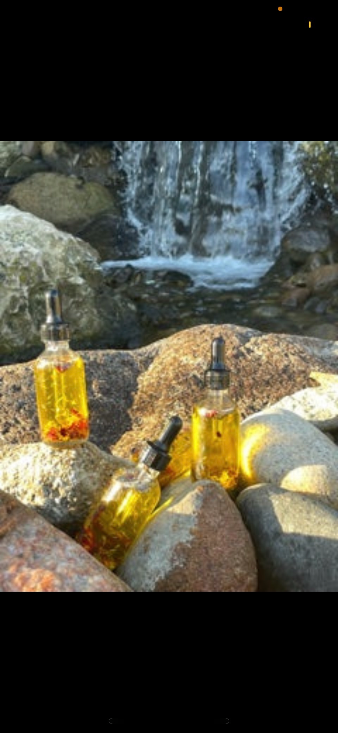 The Lavender & Lemongrass Facial Serum